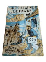 OLD IRISH INTEREST BOOK: ALL BECAUSE OF DAWKS