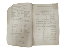 RARE 1880 ROYAL IRISH CONSTABULARY CRIMINAL LOG BOOK