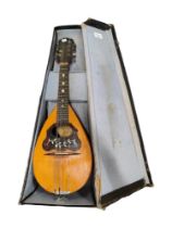 OLD MANDOLIN IN CASE