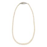 NATURAL PEARL NECKLACE WITH DIAMOND-SET CLASP,