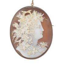 SHELL CAMEO BROOCH,