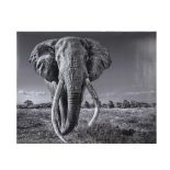 DAVID YARROW (NE EN 1966) Space for Giant, 2020 Tirage pigmentaireSignature et numérotation...