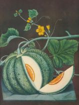 AFTER GEORGE BROOKSHAW (BRITISH, 1751-1823) WHITE CLAUDIA MELON, 1812