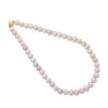 FRESHWATER CULTURED PEARL NECKLACE COLLIER PERLES D'EAU DOUCE