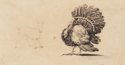 George Chinnery (London 1774-1852 Macau) Study of a turkey and a dog (Together with a study of c...