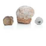 A Dinosaur egg on red stone base and two fossils Cretaceous Period