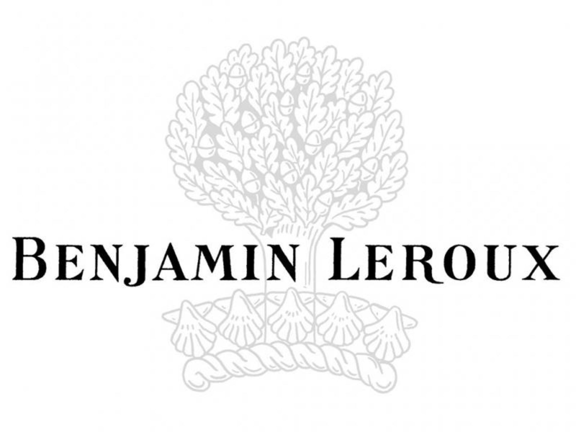 Clos Vougeot, Petit Maupertuis 2019, Benjamin Leroux (3)