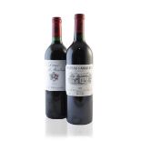 La Dame de Montrose 2003, St Estèphe, the 2nd wine of Château Montrose (12) Châte...