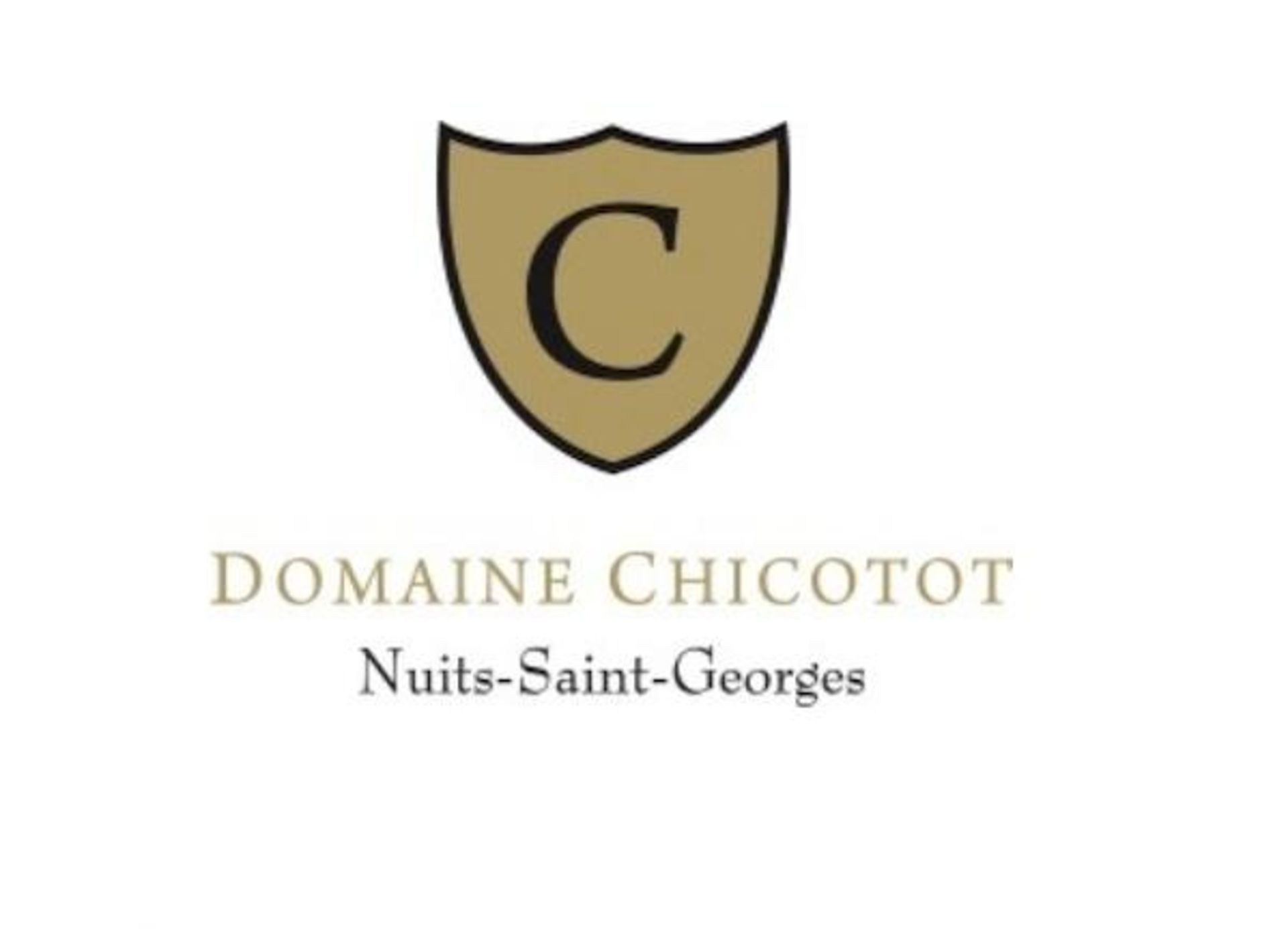 Nuits-St-Georges 1er Cru, Aux Toreys 2019, Domaine Chicotot (6) Nuits-St-Georges 1er Cru, Les Ru...