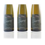 Riesling Lieu-dit Buehl 2016, Domaine Schieferkopf/M. Chapoutier (24) Riesling Lieu-dit Fels 201...