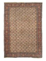 A Senneh carpet North West Persia, 20th century 270cm x 180cm