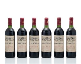 Château Grand Mayne 1983, St Emilion Grand Cru Classé (24)