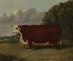 Richard Whitford (British, circa 1821-1890) Hereford prize heifer in a landscape