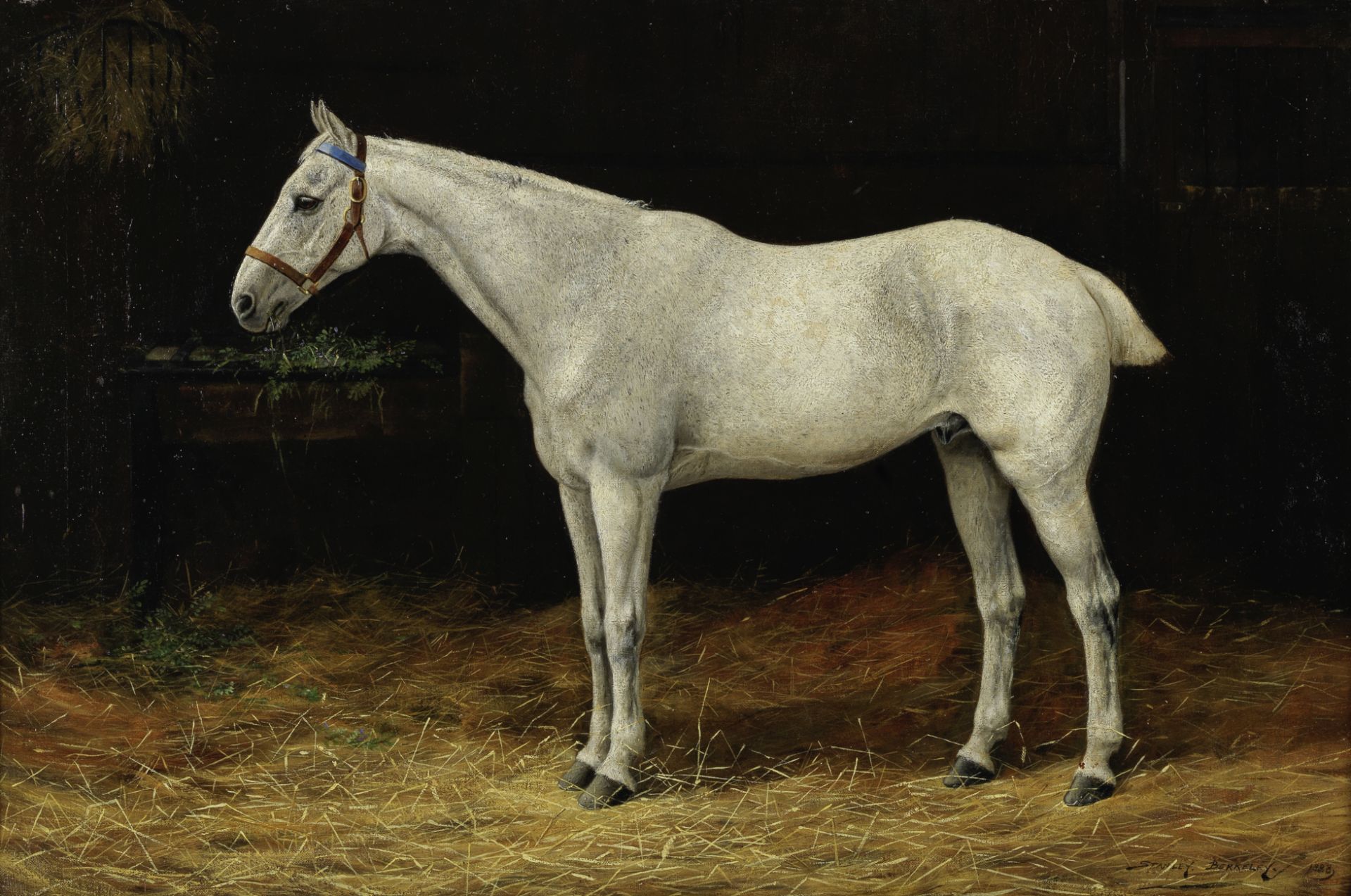 Stanley Berkeley (British, 1855-1909) Grey horse in a stable