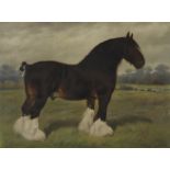 Frank Babbage (British, 1858-1916) The prize shire horse, Knottingley Regent