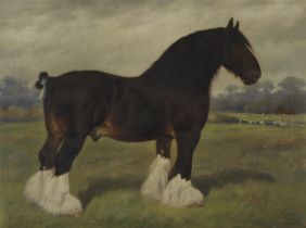 Frank Babbage (British, 1858-1916) The prize shire horse, Knottingley Regent