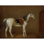George Morley (British, active 1832-1863) General Officer's Charger with Horse Furniture accordi...