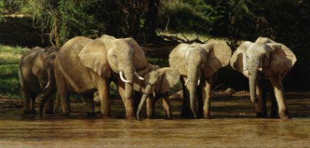 Tony Karpinski (British, born 1965) 'Relaxed drink', Kenya