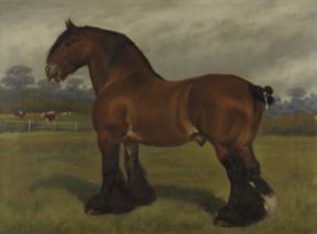 Frank Babbage (British, 1858-1916) The prize shire horse Willow Holt King