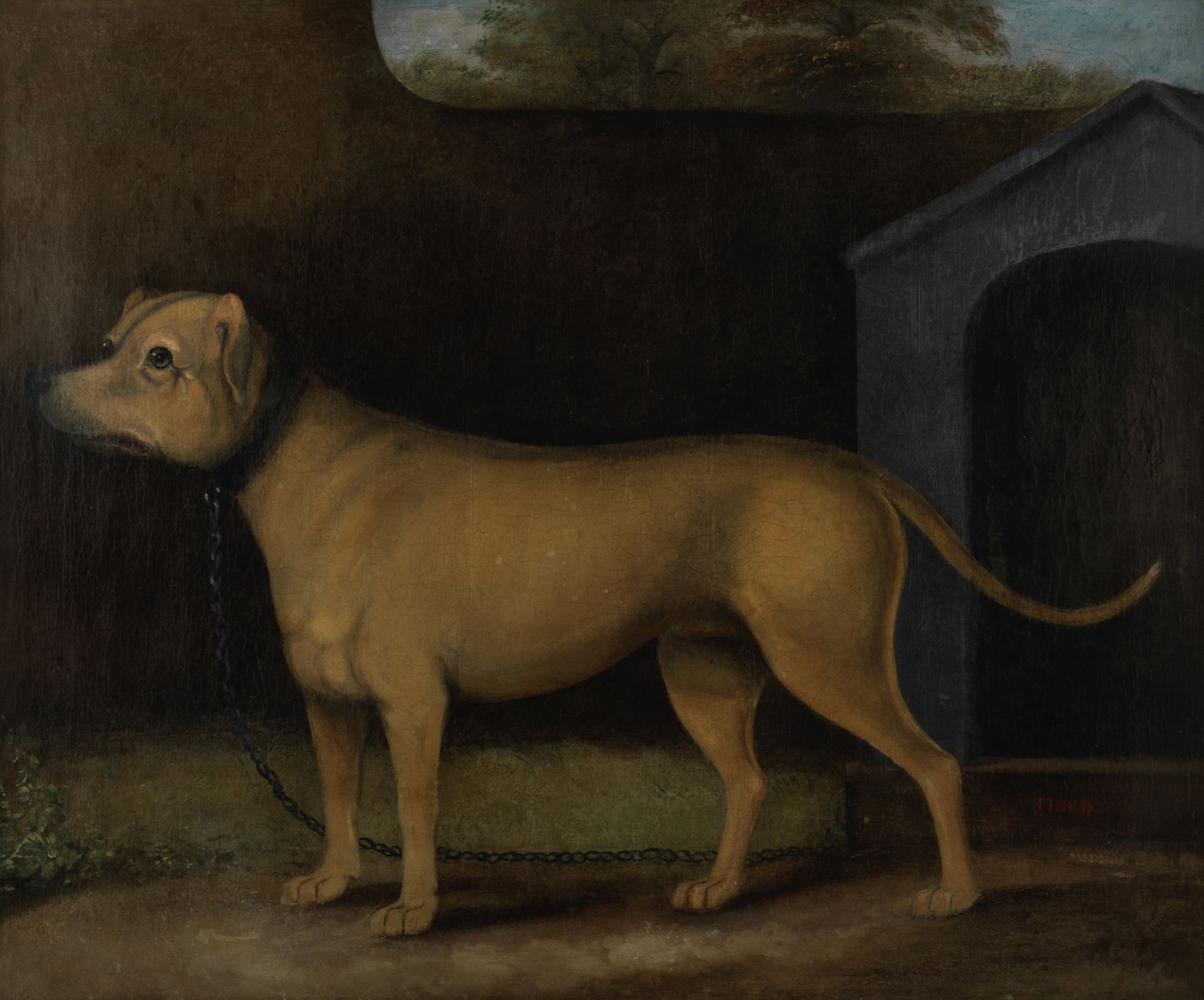 English School, 19th Century Tiger outside his kennel