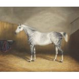James Clark (British, 1812-1884) Dapple grey horse in a stable