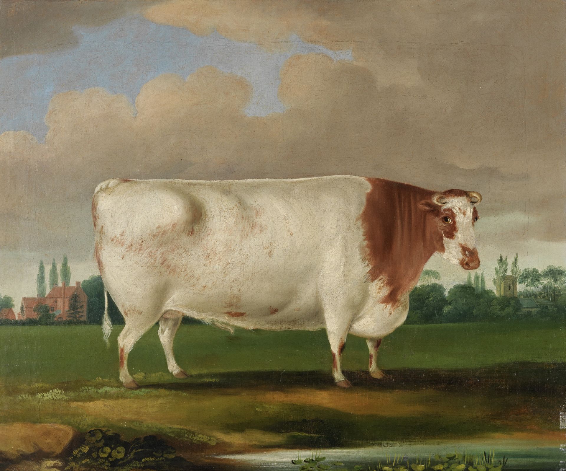 British School (19th century) Prize bull in a landscape