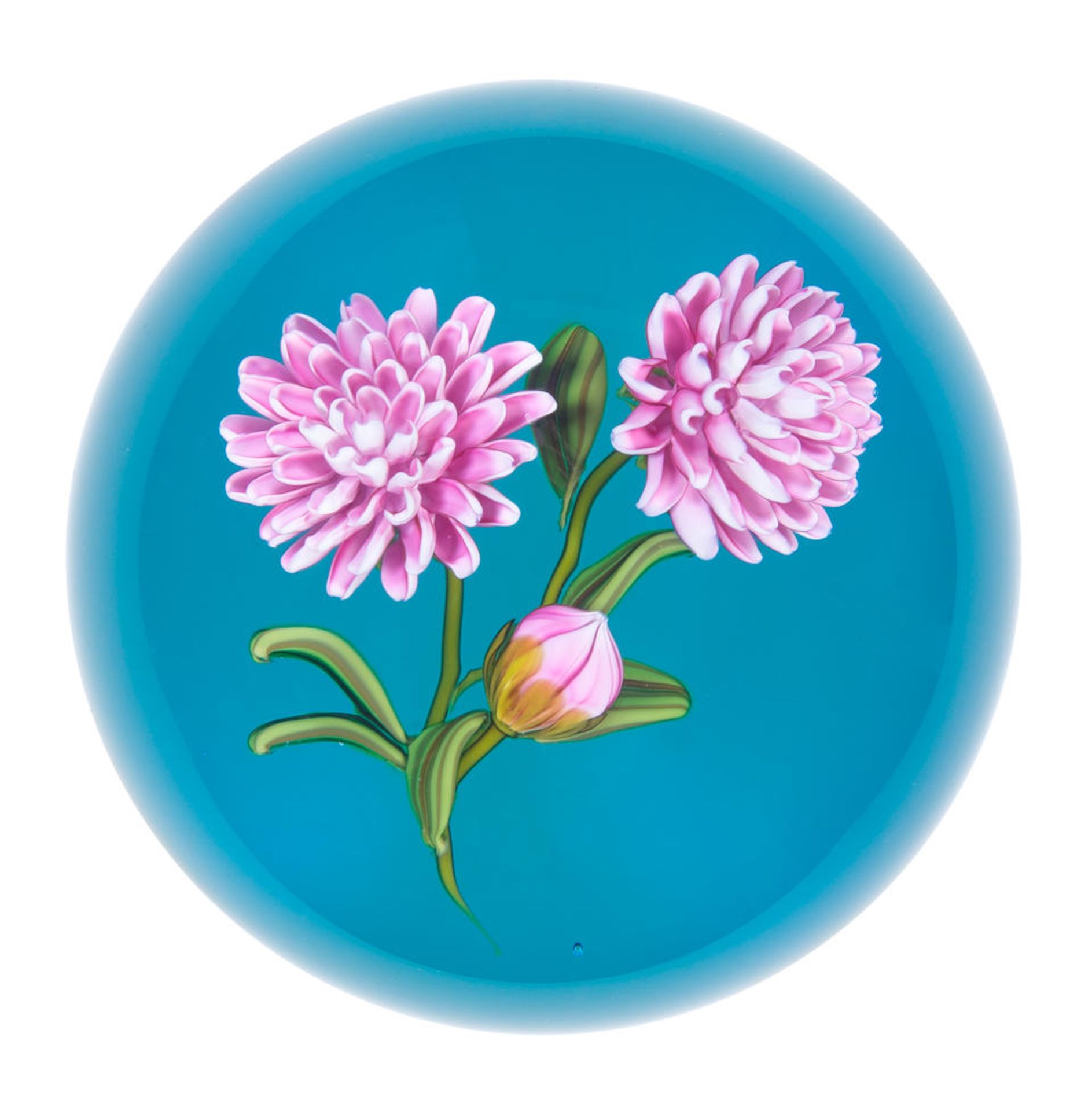 A Ken Rosenfeld pink dahlia magnum paperweight, dated 2004