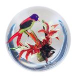 A Rick Ayotte purple crowned lorikeet magnum paperweight, dated 2000