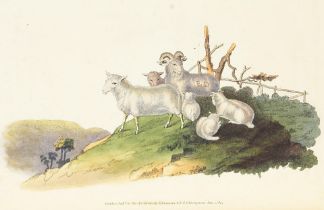 DONOVAN (EDWARD) The Natural History of British Quadrupeds, 3 vol., FIRST EDITION, for the Autho...