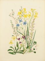 CHARSLEY (FANNY ANNE) The Wild Flowers around Melbourne, FIRST EDITION, Day & Son, 1867