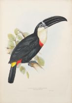 GOULD (JOHN) A collection of 31 hand-coloured lithographs from John Gould's The Birds of Asia, A...