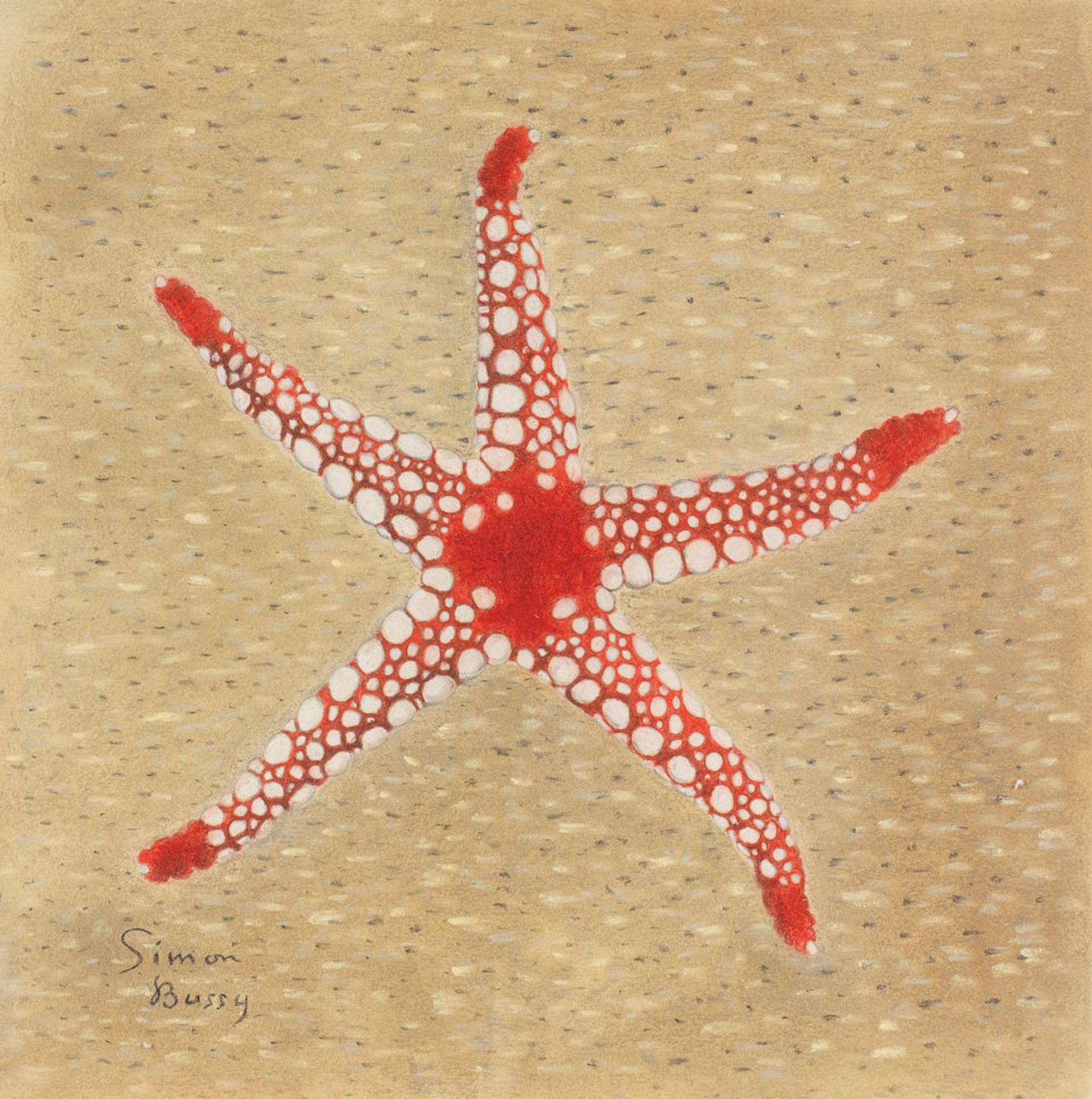 Simon Albert Bussy (British, 1870-1954) Starfish 23.2 x 23.2 cm. (9 1/8 x 9 1/8 in.)