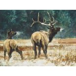 Nancy Glazier (born 1947) Frosted Elk 9 x 12 in. framed 14 x 17 in.