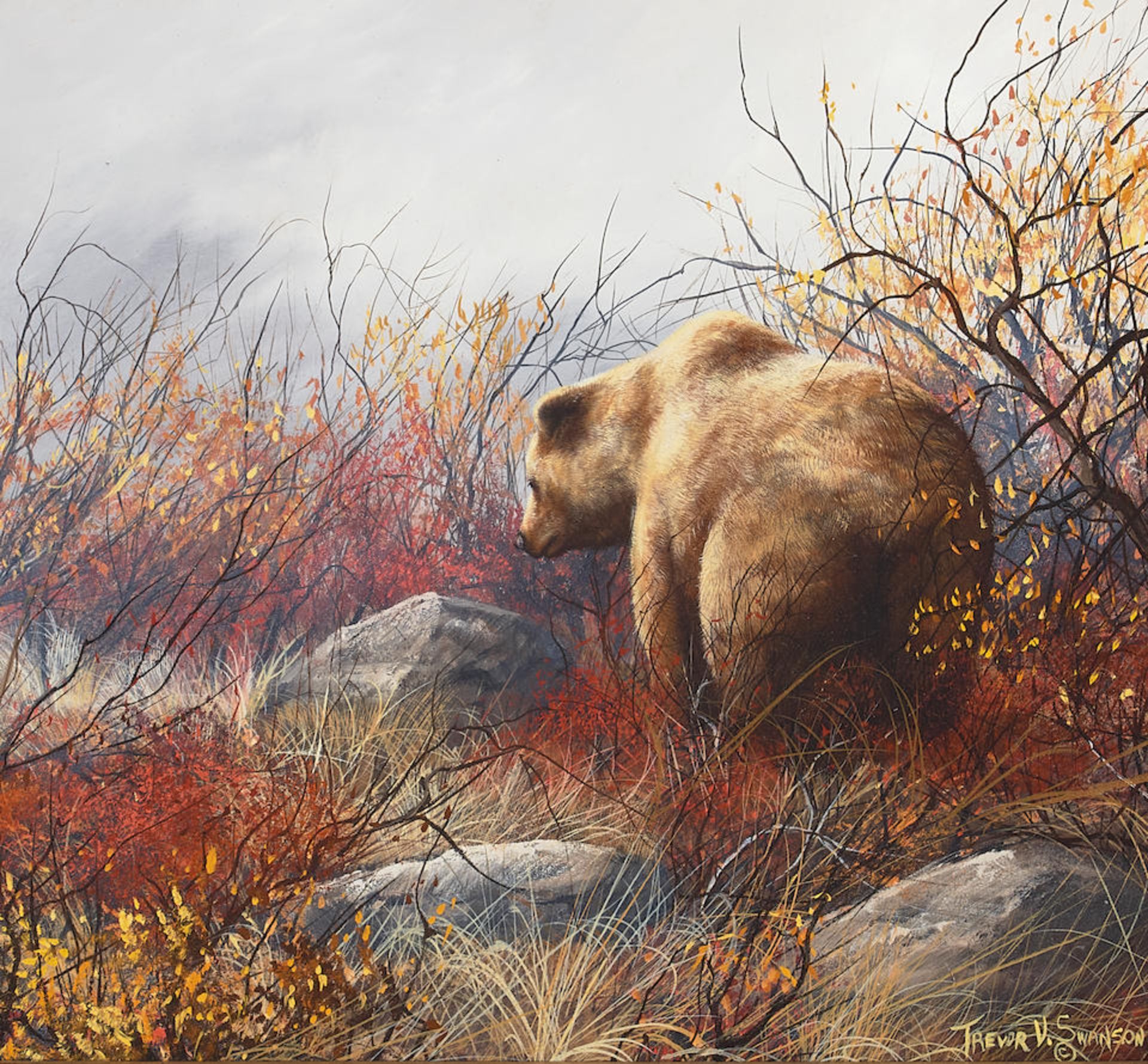 Trevor V. Swanson (born 1968) Foraging Bear 12 x 13 in. framed 17 x 18 in.