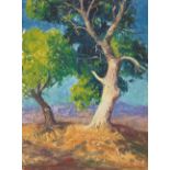 Sheldon Parsons (1866-1943) The Old Cottonwood (New Mexico) 12 x 9 in. unframed