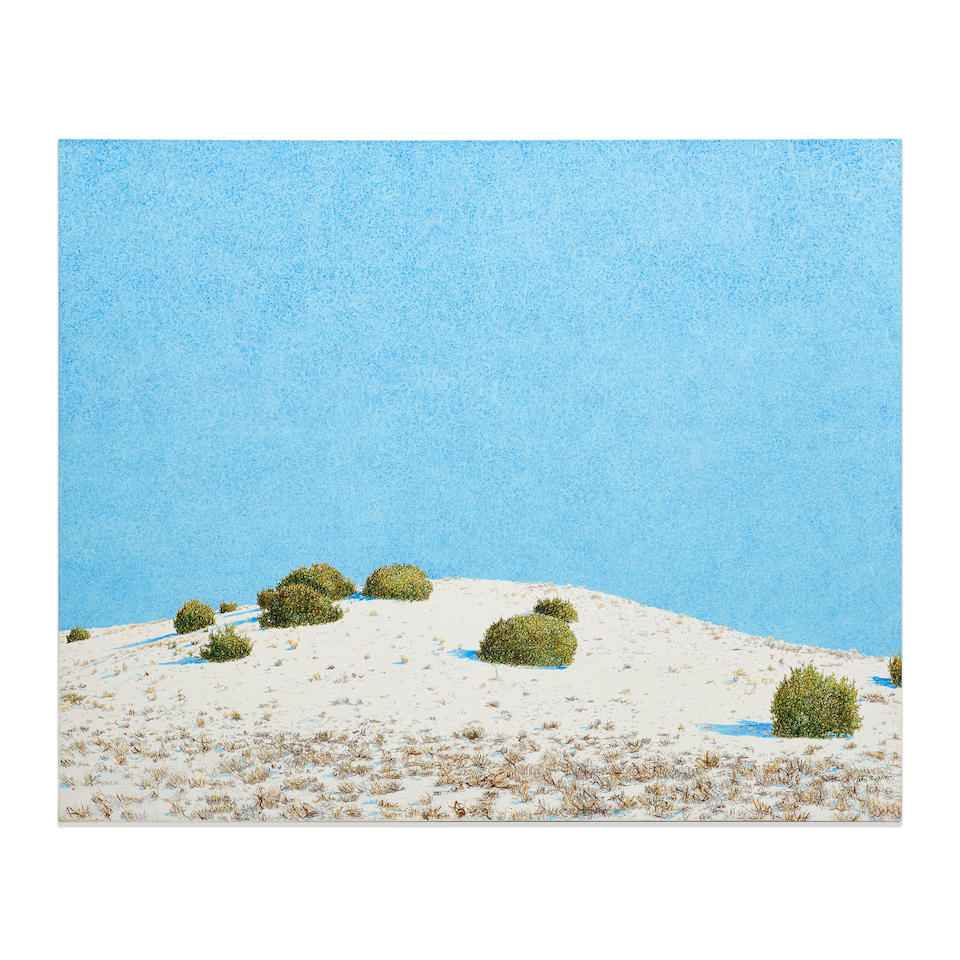 John Hogan (20th Century) Desert Landscape 68 x 84 in. unframed