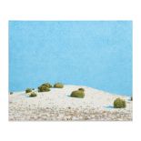 John Hogan (20th Century) Desert Landscape 68 x 84 in. unframed