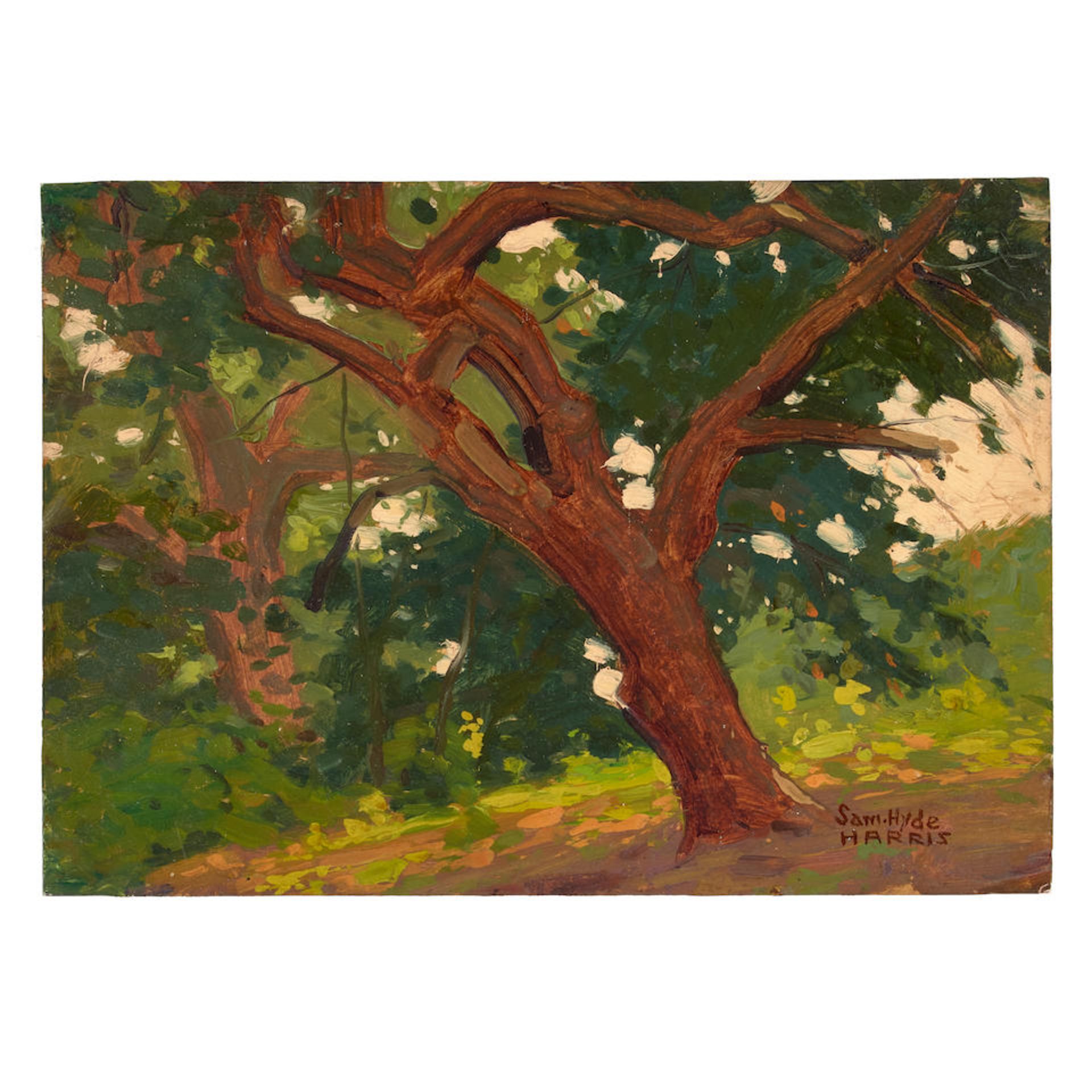 Sam Hyde Harris (1889-1977) The Woods 10 x 14 in. unframed - Bild 2 aus 2