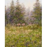 Eric Michaels (born 1948) Roosevelt Elk 20 x 16 in. framed 26 1/2 x 22 3/4 in.