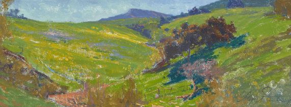 Alexey Steele (born 1967) Two Landscapes, possibly of the Irvine Ranch first 9 x 24 in., second ...