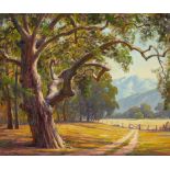 Paul Grimm (1891-1974) Gnarled Oak 20 x 24 in. framed 26 x 30 in.