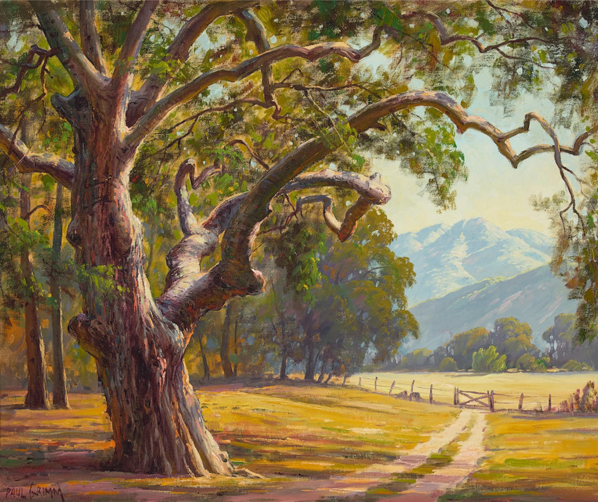 Paul Grimm (1891-1974) Gnarled Oak 20 x 24 in. framed 26 x 30 in.