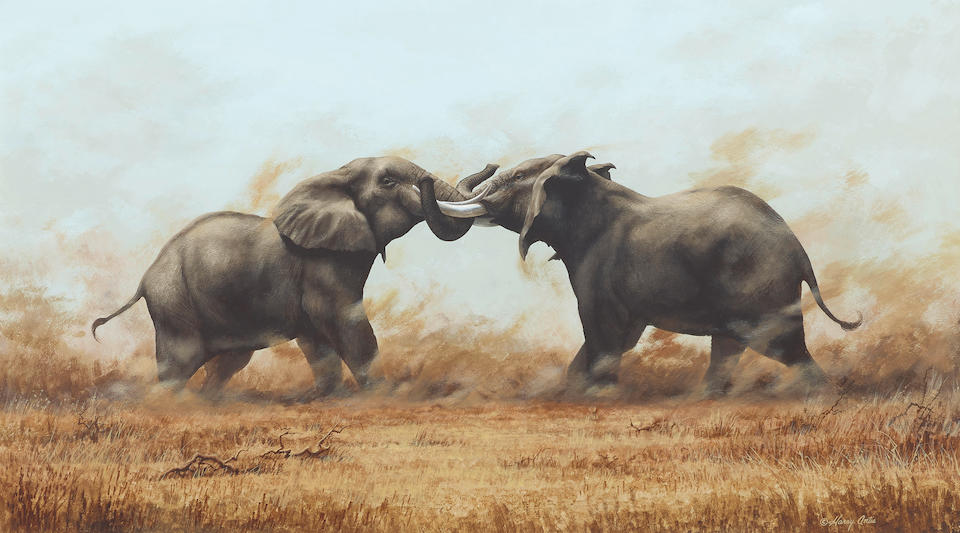 Harry E. Antis (1942-2002) Bull Elephants Sparring sight 20 1/2 x 37 in. framed 27 3/4 x 44 in.