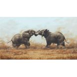 Harry E. Antis (1942-2002) Bull Elephants Sparring sight 20 1/2 x 37 in. framed 27 3/4 x 44 in.