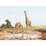 Harry E. Antis (1942-2002) Two Giraffes sight 21 1/2 x 28 1/2 in. framed 26 1/2 x 33 3/4 in.