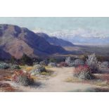 Carl Sammons (1883-1968) Desert Wildflowers 20 x 29 in. framed 26 1/4 x 35 1/4 in.