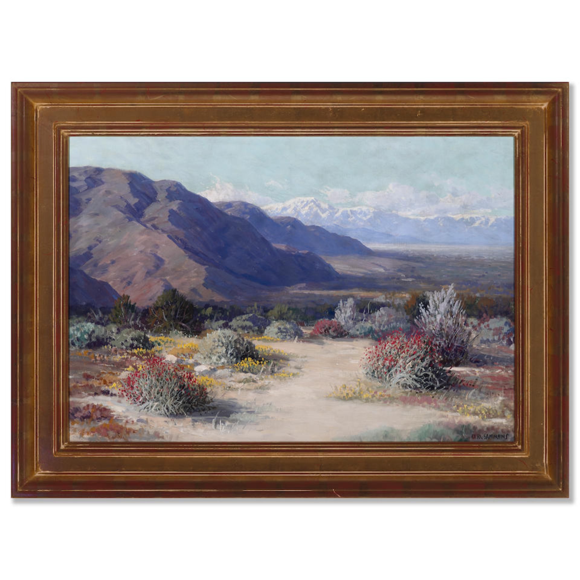 Carl Sammons (1883-1968) Desert Wildflowers 20 x 29 in. framed 26 1/4 x 35 1/4 in. - Bild 3 aus 3