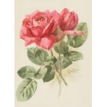 Paul de Longpre (1855-1911) Roses sight 11 x 8 in. framed 23 1/2 x 20 in.