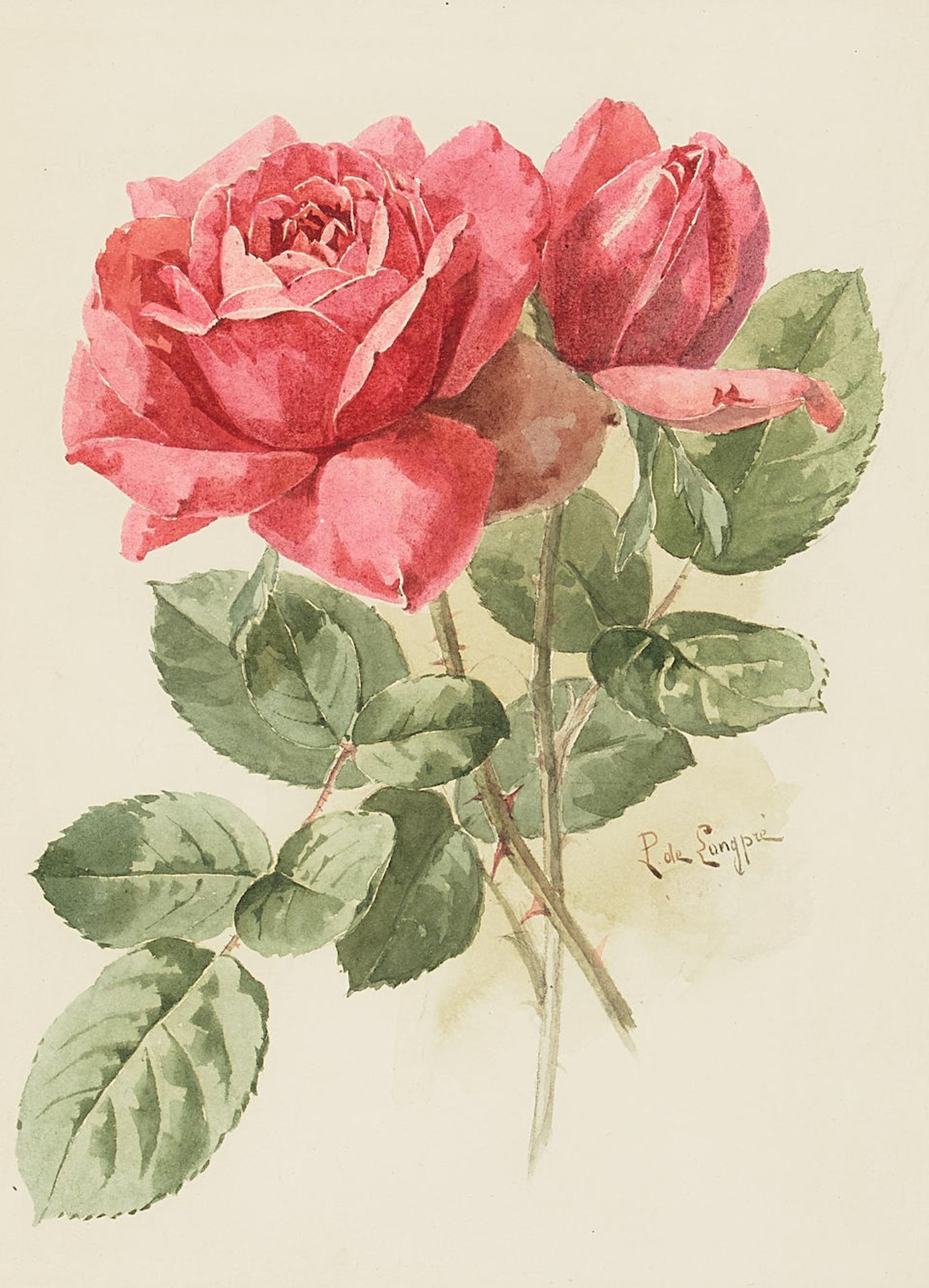 Paul de Longpre (1855-1911) Roses sight 11 x 8 in. framed 23 1/2 x 20 in.
