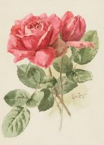 Paul de Longpre (1855-1911) Roses sight 11 x 8 in. framed 23 1/2 x 20 in.